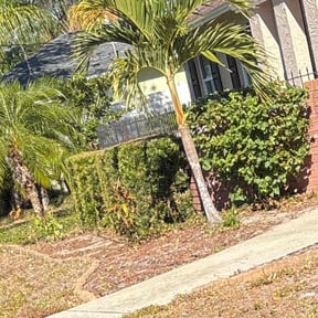Bush Trimming by Goetz Lawn Care reviewed on July 12, 2022