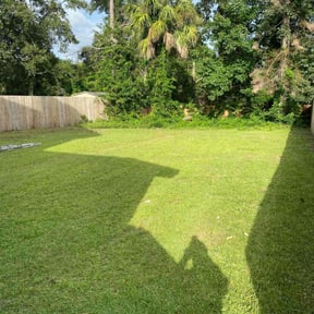 Bush Trimming by Conley Lawn care reviewed on October 26, 2022