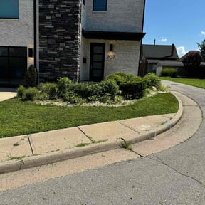 Bush Trimming by Steve’s mowing company reviewed on August 26, 2024