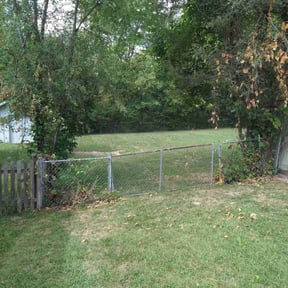 Bush Trimming by BD's Platinum Lawncare LLC reviewed on December 3, 2021