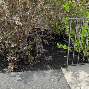 Landscaping by Keep it cut keep it clean llc reviewed on June 29, 2022