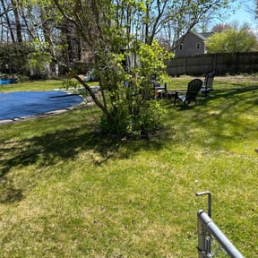Cleanups by Jg landscape reviewed on June 24, 2022