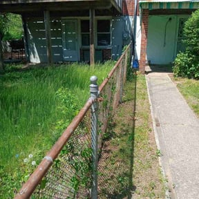 Bush Trimming by TruGreen LawnCare reviewed on June 3, 2025