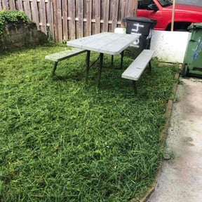 Cleanups by Joeys grass cutting llc reviewed on September 5, 2024