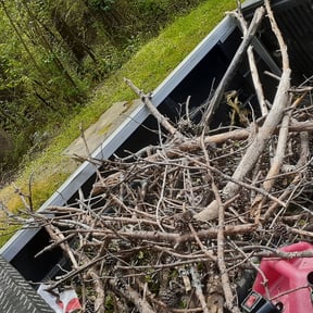 Cleanups by Court Landscaping reviewed on April 8, 2025