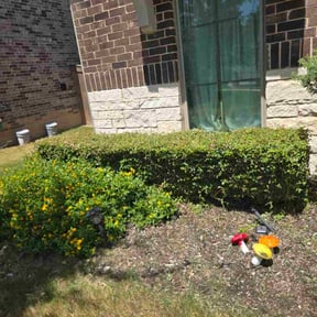 Bush Trimming by All Pro Landscaping Services reviewed on December 3, 2021