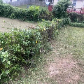 Bush Trimming by D&G Lawn Care reviewed on July 23, 2022
