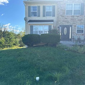 Bush Trimming by Dan's Lawn & Landscaping reviewed on May 24, 2022