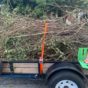 Cleanups by Jay R reviewed on May 15, 2025