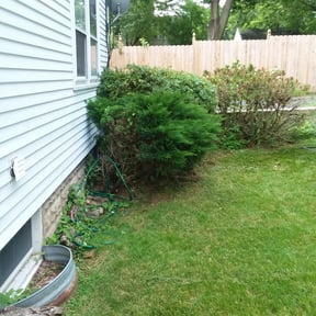 Bush Trimming by TruGreen LawnCare reviewed on July 18, 2025