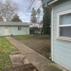 Leaf Removal by Jack Catlin reviewed on October 15, 2022