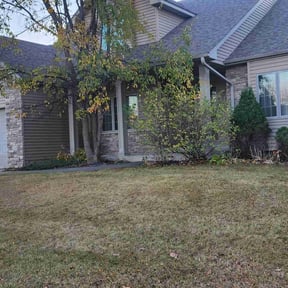 Leaf Removal by Q&R landscaping solutions reviewed on December 4, 2021