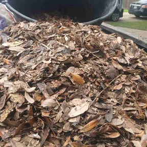 Leaf Removal by Landscaping by Jay reviewed on April 20, 2022