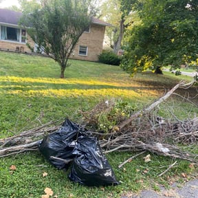 Leaf Removal by Babcock Enterprises LLC reviewed on July 21, 2022