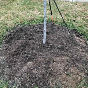 Flower Bed Weeding by Diego Mojica Lawn Care reviewed on February 28, 2022