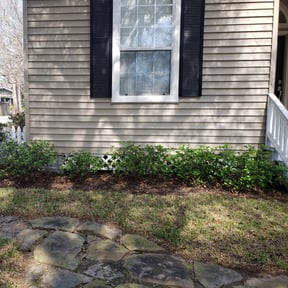 Bush Trimming by Earthmovers Landscaping reviewed on March 19, 2025