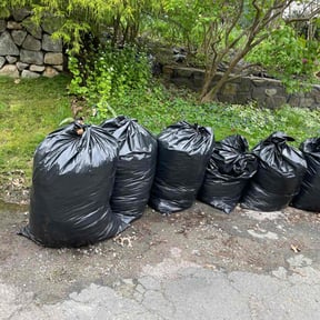 Leaf Removal by JWALL Lawn Care, LLC reviewed on March 30, 2022