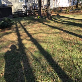 Leaf Removal by Super Mario Cutz reviewed on August 16, 2024