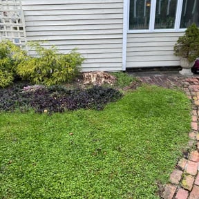 Cleanups by American Rose Landscaping LLC reviewed on May 5, 2022