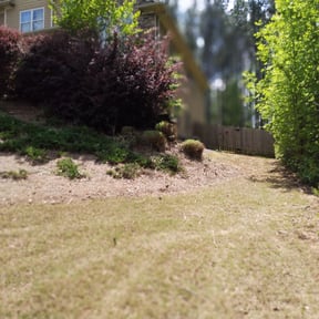 Bush Trimming by Lawn Gnomes LLC reviewed on October 26, 2021