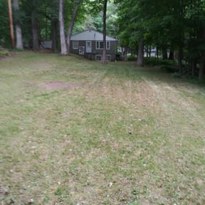 Leaf Removal by Bert's Landscaping and Propery Mantienance reviewed on April 21, 2022