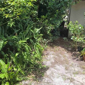 Bush Trimming by JDAA Lawn Care Service reviewed on September 7, 2024
