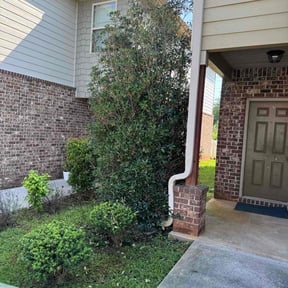 Bush Trimming by IGM Lawn Care & Landscape reviewed on June 25, 2025