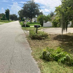 Bush Trimming by WhaleyScapes lawn services reviewed on October 2, 2020