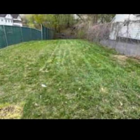 Cleanups by A1 America Landscaping reviewed on October 17, 2024