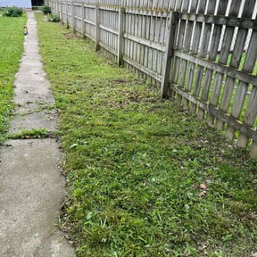 Cleanups by Bearded landscaping reviewed on August 15, 2025