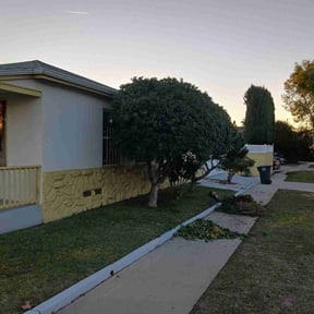 Bush Trimming by Greenlawnz landscaping reviewed on July 7, 2020