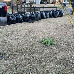 Leaf Removal by Central Property Maintenance reviewed on March 19, 2025