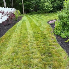 Mulching by Mow-Hawk lawn service reviewed on June 4, 2022