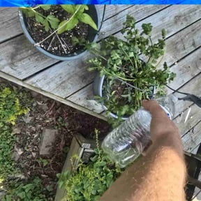 Landscaping by Liberty’s Stripes - Yard Professionals reviewed on September 2, 2024