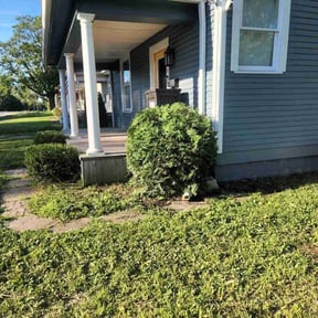 Bush Trimming by Greenland Landscaping and Tree Service reviewed on December 13, 2024