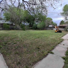 Leaf Removal by Trinity Mobile Service LLC reviewed on October 20, 2022
