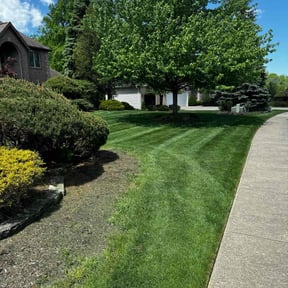 Flower Bed Weeding by Contreras Outdoors reviewed on April 28, 2022