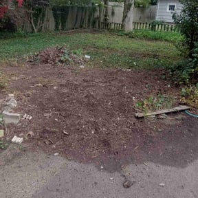 Leaf Removal by Fortanel lanscaping reviewed on January 11, 2022