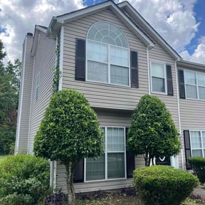 Bush Trimming by Ready Set Mow reviewed on July 10, 2025