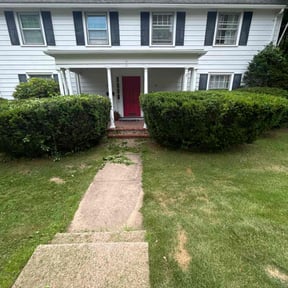 Bush Trimming by R n B Cleaning reviewed on June 18, 2022