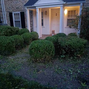 Bush Trimming by Martin LLC reviewed on April 27, 2025