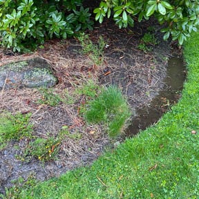 Leaf Removal by HM&#039;s Superior Landscape &amp; Design  reviewed on September 29, 2021