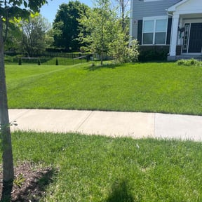 Cleanups by For My Family Lawn Care reviewed on May 29, 2022