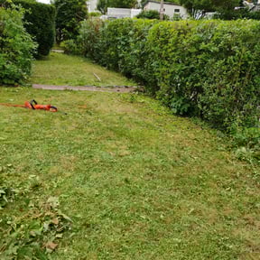 Bush Trimming by Eddie’s lawn maintenance reviewed on April 20, 2022