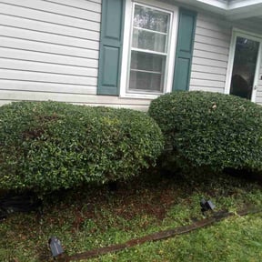Bush Trimming by Mike's Mowing and Landscaping reviewed on May 7, 2022