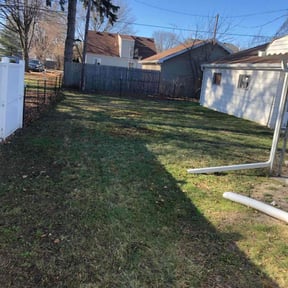 Leaf Removal by Paz Lawn Services reviewed on June 19, 2020