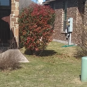 Bush Trimming by Legit Lawn Care reviewed on May 23, 2025