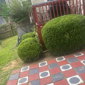 Bush Trimming by Yard pro reviewed on August 23, 2024