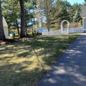 Leaf Removal by Herrera Lawn Maintenance reviewed on July 25, 2022