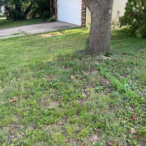 Cleanups by Clean green mowing and power washing reviewed on October 7, 2022